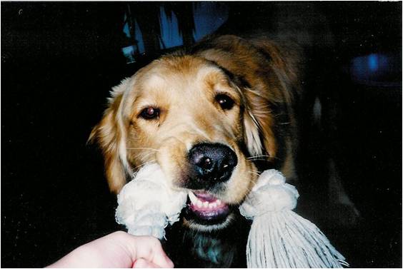 The Ever-Present Playful Spirit